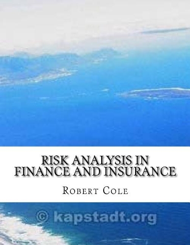Risk Analysis in Finance and Insurance