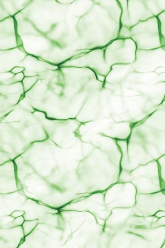 Diabetics Food and Blood Glucose Log and Notebook