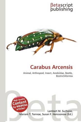 Carabus Arcensis