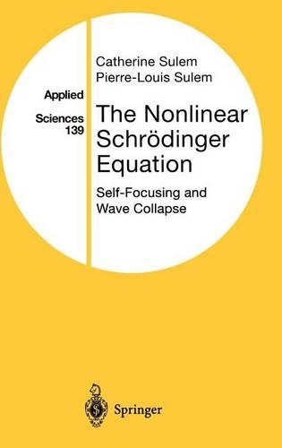 Nonlinear Schroedinger Equation: Self-Focusing & Wave Collapse