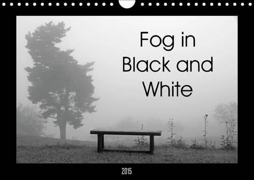 Fog in Black and White 2015