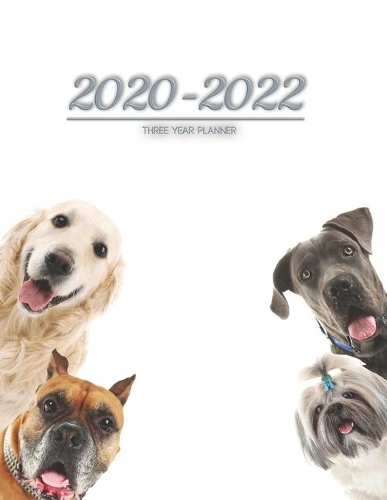 2020-2022 three year planner