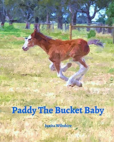 Paddy The Bucket Baby: (English)