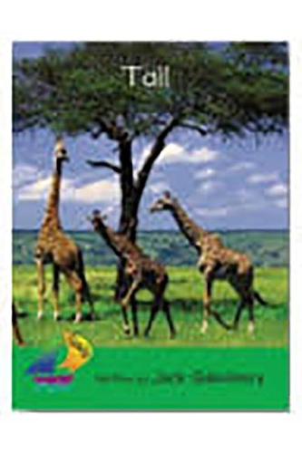 Rus Tall- Sails Early 4 N