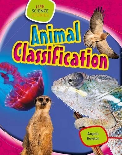 Animal Classification