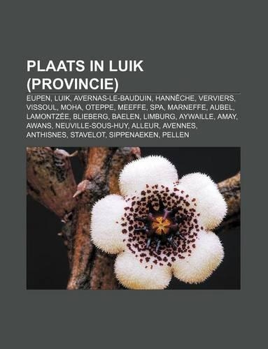 Plaats in Luik (Provincie)