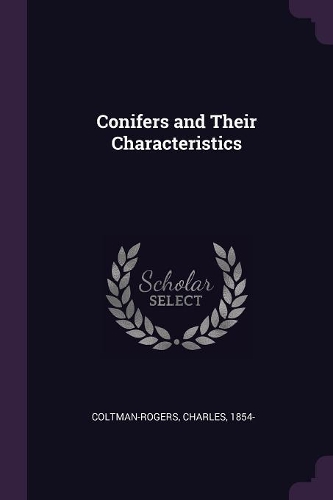 Conifers and Their Characteristics