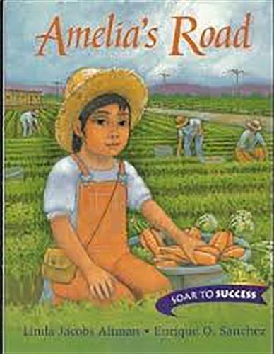 Houghton Mifflin Soar to Success: Reader, Level 4 Set 7 Amelia's Road