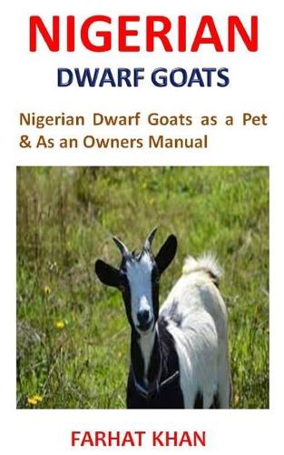 Nigerian Dwarf Goat as Pets