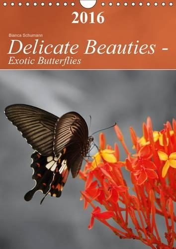 Delicate Beauties - Exotic Butterflies 2016: Tropical Butterflies in their natural environment(Calvendo Animals)