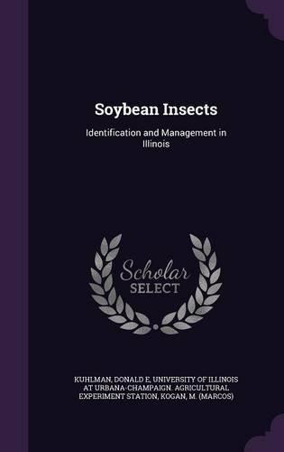 Soybean Insects