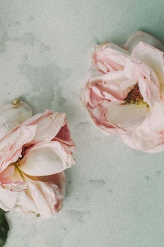 Dried Flowers Notebook