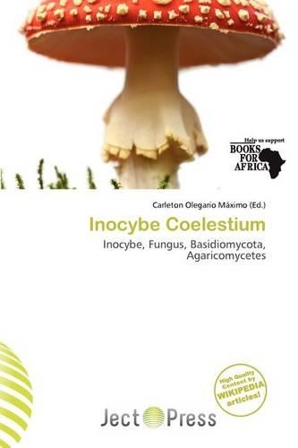 Inocybe Coelestium: (English)