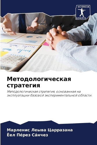 Методологическая стратегия