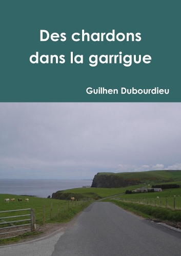 Des chardons dans la garrigue