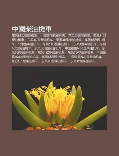 Zh Ng Guo Chai You J Ch