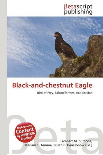 Black-And-Chestnut Eagle