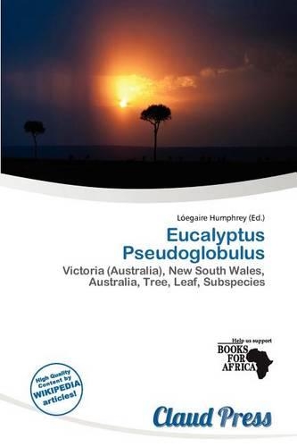 Eucalyptus Pseudoglobulus: (English)