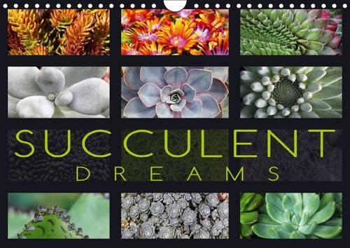 Succulent Dreams 2017: Beautiful Portraits of Selected Succulents(Calvendo Nature)