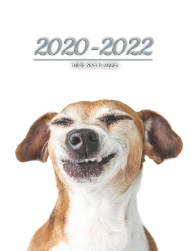 2020-2022 three year planner