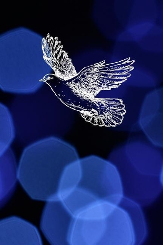 Taube: Notizbuch A5 120 Seiten kariert in Weiß für Taubenzüchter