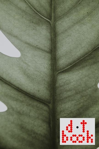 The Dot Book - A Dot Grid Notebook for Graphic Designers - Pattern Series - 013