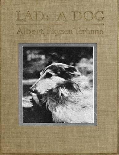 Lad: A Dog