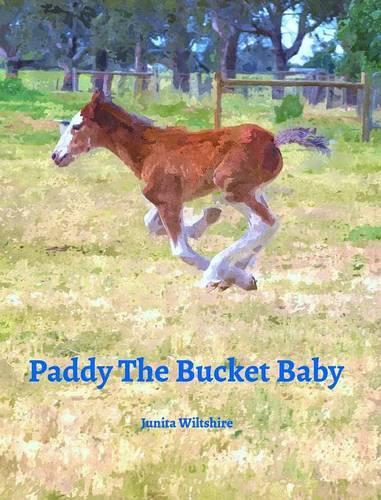 Paddy The Bucket Baby