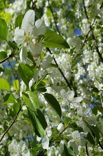 2019 Daily Planner Springtime Scenic Beauty 384 Pages