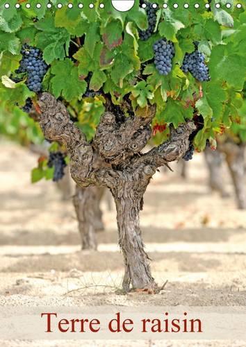 Terre De Raisin 2017