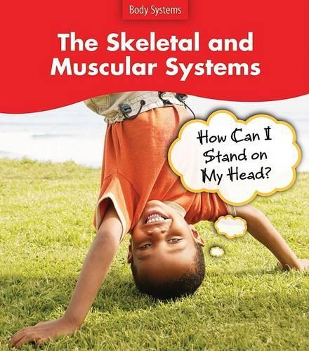 The Skeletal and Muscular Systems