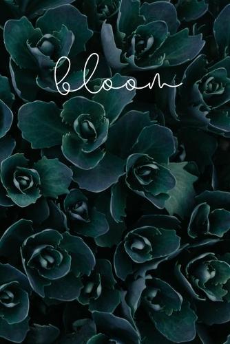 Bloom