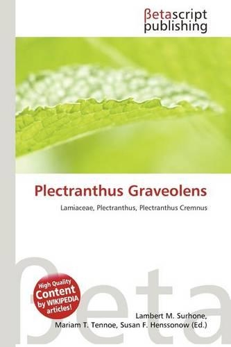 Plectranthus Graveolens