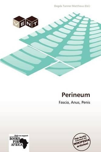 Perineum