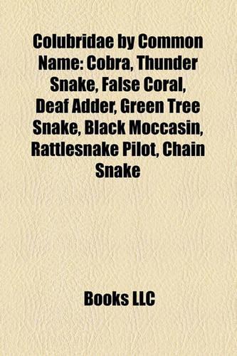 Colubridae by Common Name