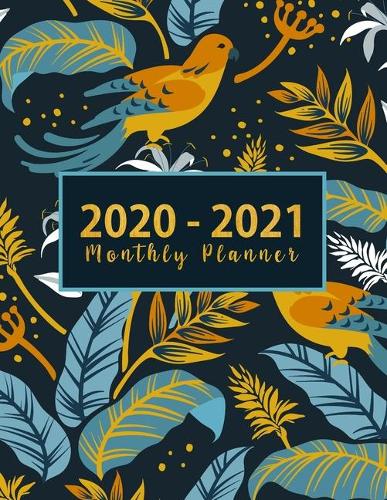 2020-2021 Monthly Planner: monthly 2 year appointment planner - Monthly Schedule Organizer - Agenda Planner For The Next Two Years, 24 Months Calendar, Appointment Notebook 20(2020-2021 See It Bigger Planner)