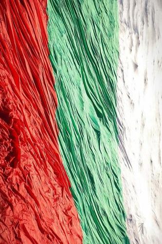 Black See Bulgaria Flag Journal: Take Notes, Write Down Memories in this 150 Page Lined Journal