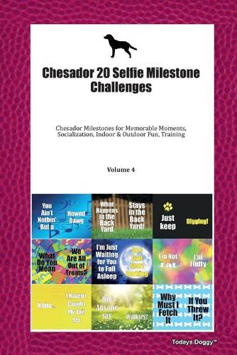 Chesador 20 Selfie Milestone Challenges