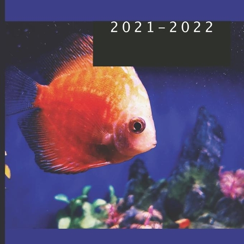 2021 - 2022