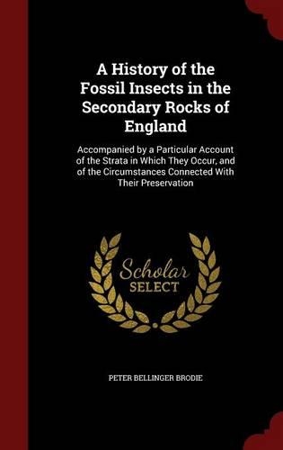 A History of the Fossil Insects in the Secondary Rocks of England