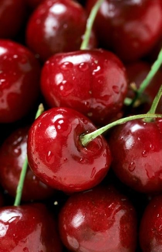 Bullet Journal Bing Cherries: 162 Numbered Pages with 150 Graph Style Grid Pages, 6 Index Pages and 2 Key Pages in Easy to Carry 5.5 X 8.5 Size.