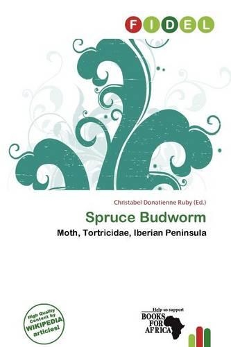 Spruce Budworm