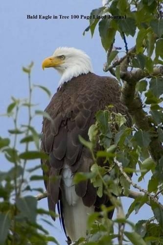 Bald Eagle in Tree 100 Page Lined Journal