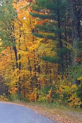 2019 Weekly Planner Winding Country Road 134 Pages