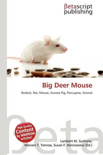 Big Deer Mouse