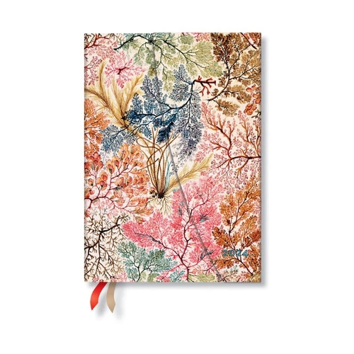 Anemone (William Kilburn) Midi 12-month Dayplanner 2024