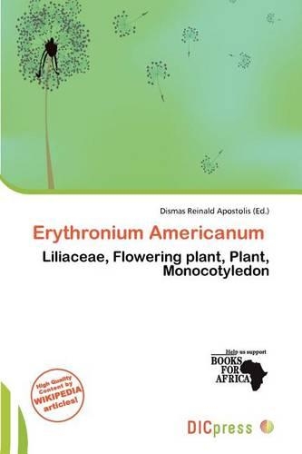 Erythronium Americanum