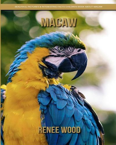 Macaw