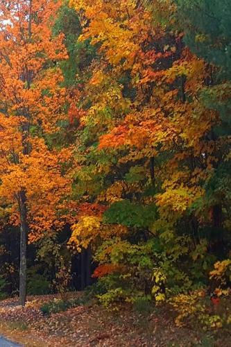 2019 Weekly Planner Autumn Country Road Rural 134 Pages