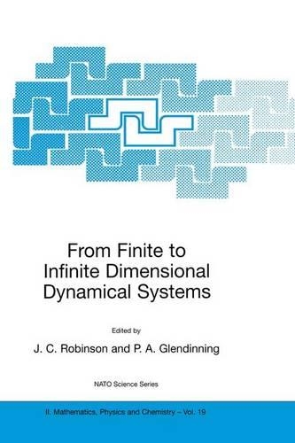 From Finite to Infinite Dimensional Dynamical Systems: (19 NATO Science Series II: Mathematics, Physics and Chemistry)